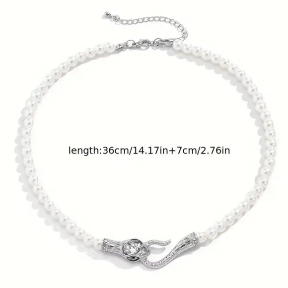 CHASING IT'S TAIL - Picture 2 of 2